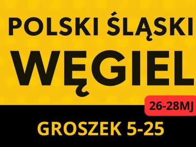 Polski Węgiel Transport Gratis ! Staszów / GROSZEK 5-25, 26-28MJ 